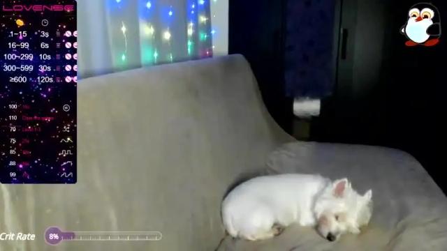 Image 10 of white_captivity Stream on Chaturbate on 16 months ago