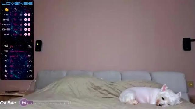 Image 11 of white_captivity Stream on Chaturbate on 14 months ago