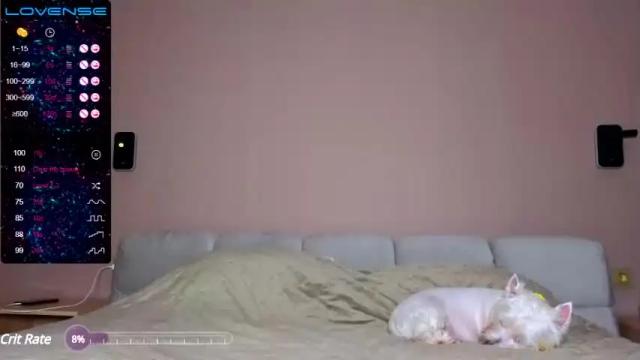Image 12 of white_captivity Stream on Chaturbate on 14 months ago
