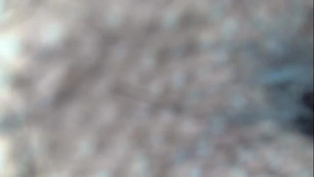 Image 10 of white_sexy_ Stream on Chaturbate on 15 days ago
