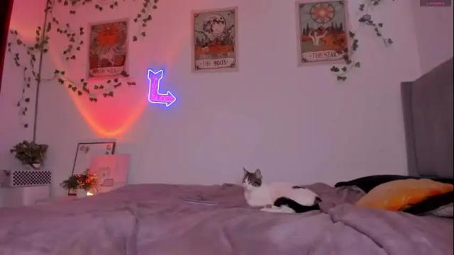 Image 4 of whitekatze Stream on Chaturbate on 19 days ago