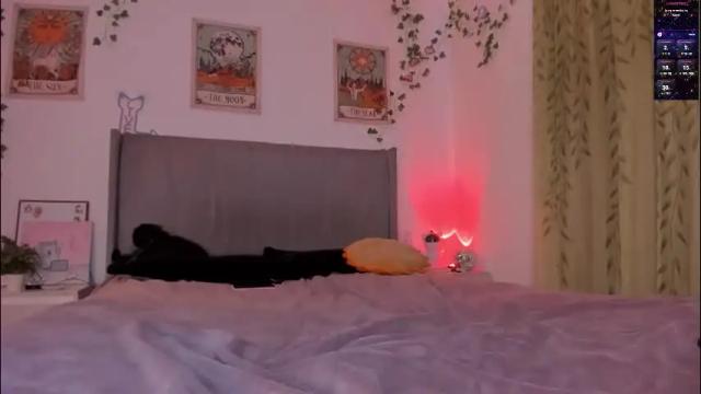 Image 4 of whitekatze Stream on Chaturbate on 2 months ago