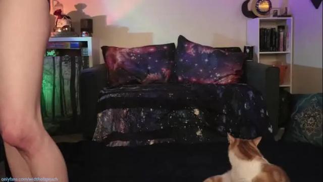 Image 11 of widthofapeach Stream on Chaturbate on 1 month ago