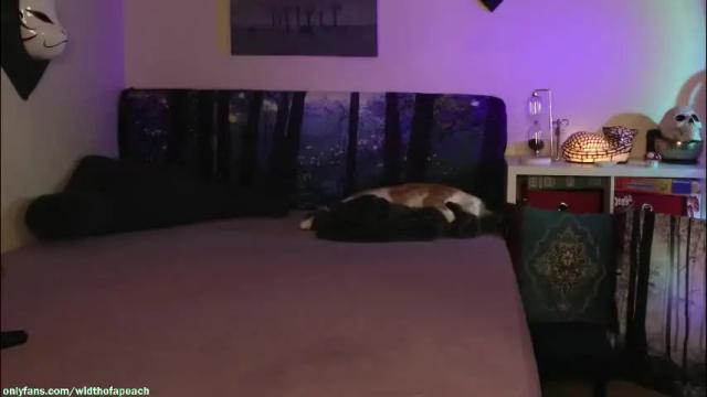 Thumbnail 3, widthofapeach's Stream at Chaturbate, 23 days ago