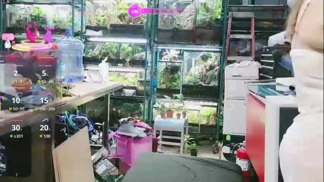 Thumbnail 1, wifen_heels's Stream at Chaturbate, 9 days ago