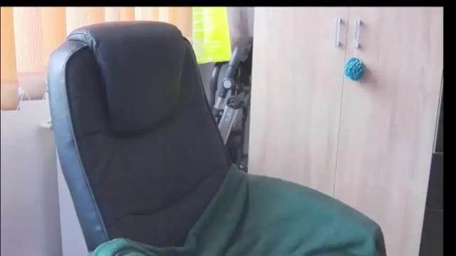 Image 11 of wildbea23 Stream on Chaturbate on 2 months ago