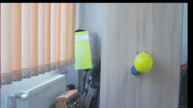 Image 8 of wildbea23 Stream on Chaturbate on 2 months ago