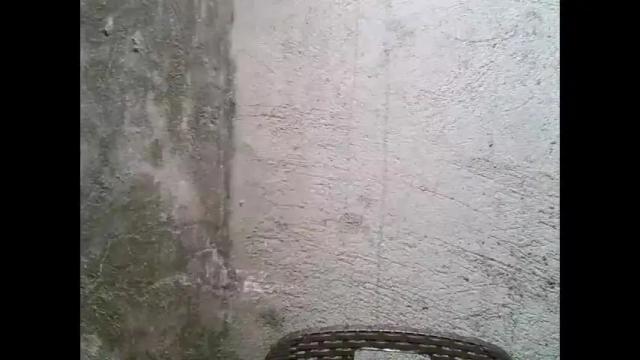 Image 2 of wildblack69 Stream on Chaturbate on 5 months ago