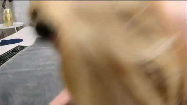 Image 11 of wildkatrina_ Stream on Chaturbate on 9 days ago