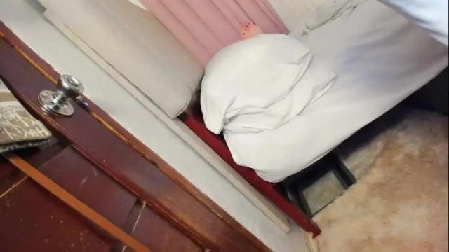 Image 4 of wildkittytrans Stream on Chaturbate on 10 days ago