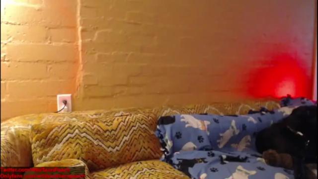 Image 10 of wildsouthernpeach Stream on Chaturbate on 17 months ago