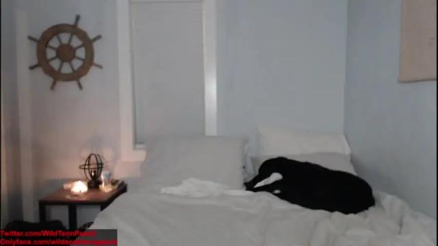 Thumbnail 1, wildsouthernpeach's Stream at Chaturbate, 15 months ago