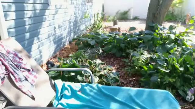 Image 10 of wildsouthernpeach Stream on Chaturbate on 1 month ago