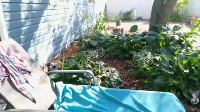 Thumbnail 3, wildsouthernpeach's Stream at Chaturbate, 1 month ago