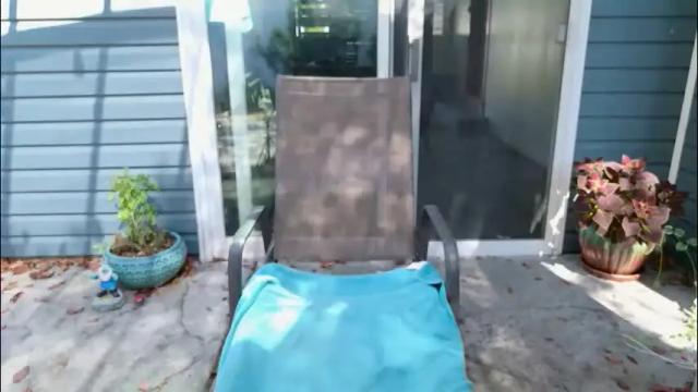 Image 12 of wildsouthernpeach Stream on Chaturbate on 1 month ago