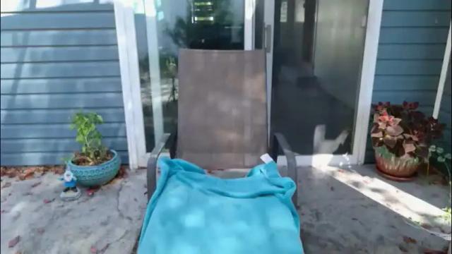 Image 6 of wildsouthernpeach Stream on Chaturbate on 1 month ago