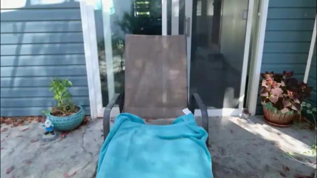 Image 7 of wildsouthernpeach Stream on Chaturbate on 1 month ago