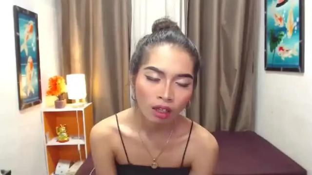Image 4 of wildtsclarahugecock Stream on Chaturbate on 17 months ago