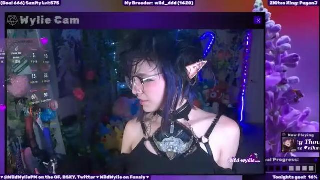 Image 10 of wildwylie Stream on Chaturbate on 1 month ago
