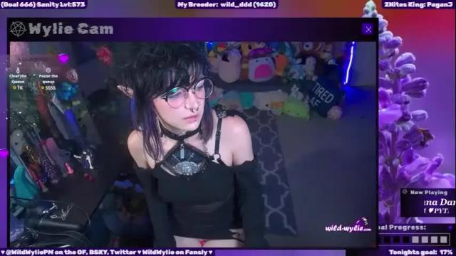 Image 12 of wildwylie Stream on Chaturbate on 1 month ago