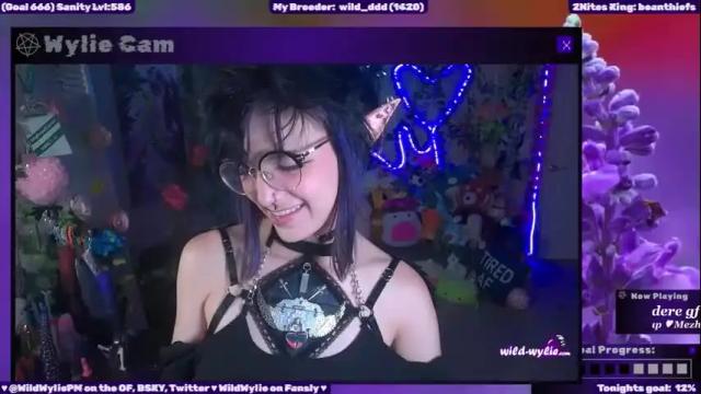 Image 6 of wildwylie Stream on Chaturbate on 1 month ago