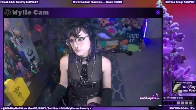 Thumbnail 1, wildwylie's Stream at Chaturbate, 17 days ago