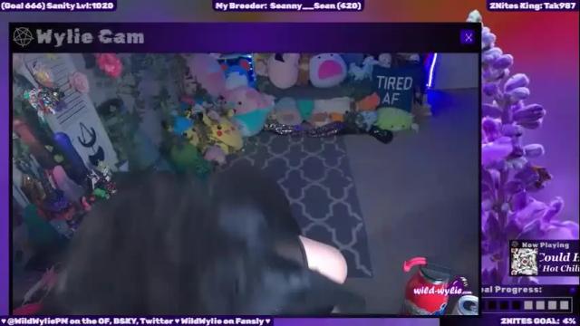 Image 7 of wildwylie Stream on Chaturbate on 18 days ago