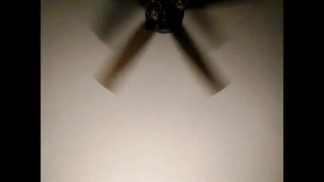Image 10 of winnielynnxx Stream on Chaturbate on 21 months ago