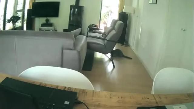 Thumbnail 3, woodwurm's Stream at Chaturbate, 1 month ago
