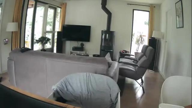 Thumbnail 2, woodwurm's Stream at Chaturbate, 8 days ago