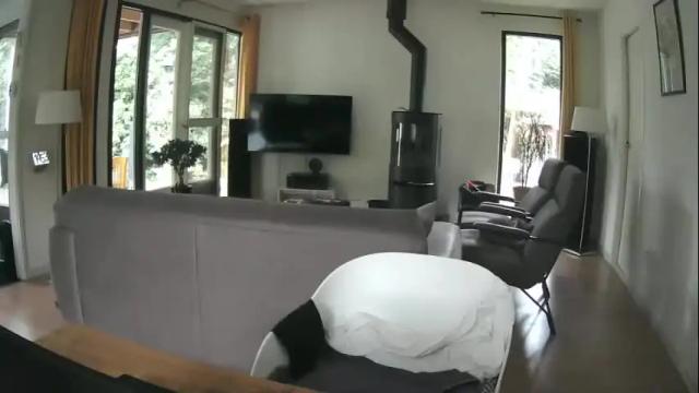 Image 6 of woodwurm Stream on Chaturbate on 6 days ago
