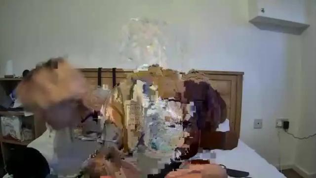 Thumbnail 1, wooshiesushie's Stream at Chaturbate, 14 months ago