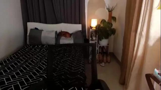 Image 4 of worldclass_sassy Stream on Chaturbate on 6 days ago