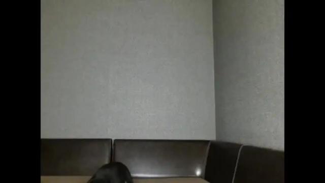 Image 2 of worstcamgirlever Stream on Chaturbate on 19 months ago