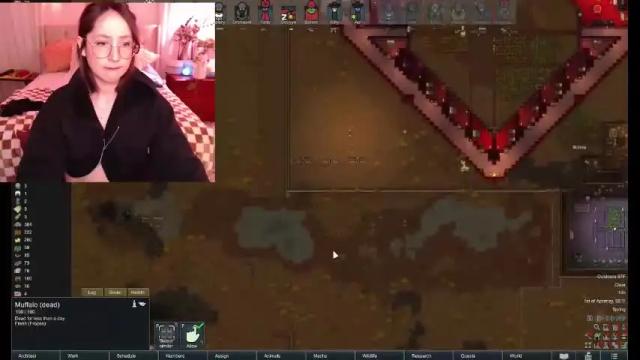 Image 2 of xo_sadie Stream on Chaturbate on 22 days ago