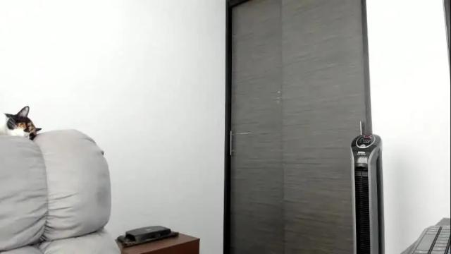 Thumbnail 2, xspecialroomx's Stream at Chaturbate, 24 days ago