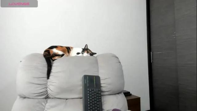 Image 11 of xspecialroomx Stream on Chaturbate on 1 month ago