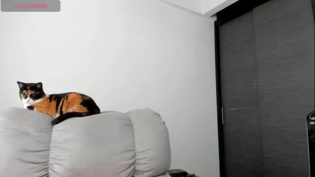 Image 4 of xspecialroomx Stream on Chaturbate on 1 month ago