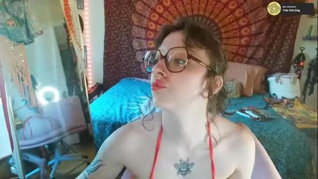 Image 11 of xsunsub Stream on Chaturbate on 29 days ago