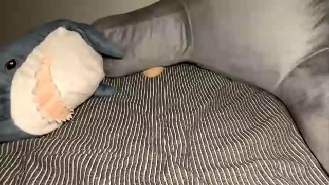 Image 7 of xunrichkitschbitchx Stream on Chaturbate on 16 months ago