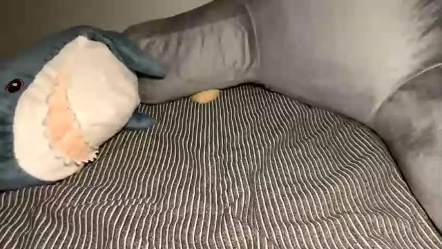 Image 8 of xunrichkitschbitchx Stream on Chaturbate on 16 months ago