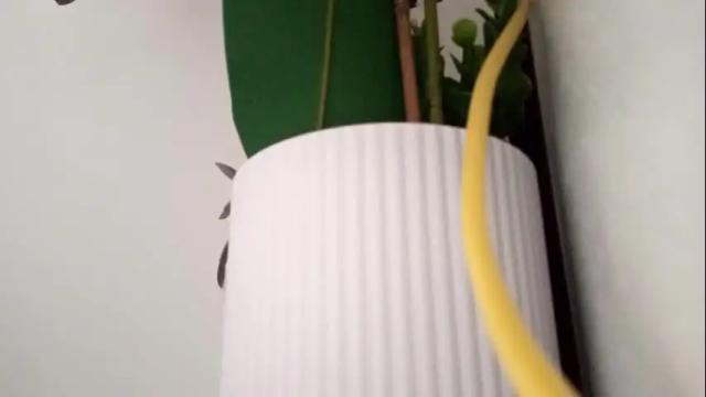 Thumbnail 2, xxxariell_sky_1's Stream at Chaturbate, 1 month ago