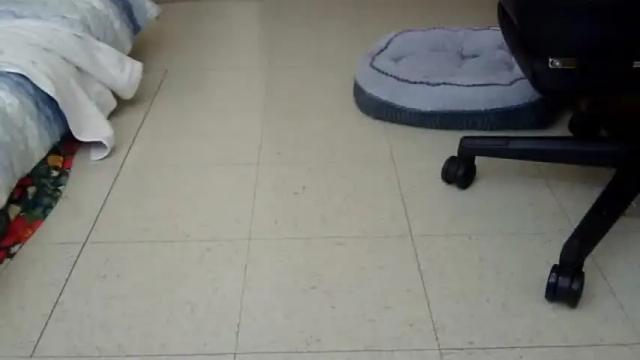 Image 10 of xxxpixiefeet85 Stream on Chaturbate on 5 days ago