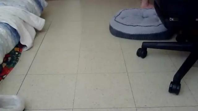 Thumbnail 3, xxxpixiefeet85's Stream at Chaturbate, 5 days ago