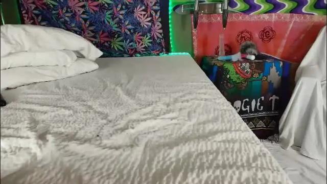 Thumbnail 1, xxxvibesxo's Stream at Chaturbate, 2 days ago