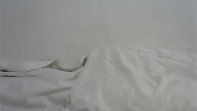 Image 2 of xxzquiropiekx2024 Stream on Chaturbate on 1 month ago