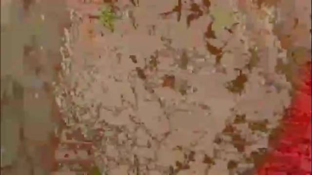 Image 7 of yanikka Stream on Chaturbate on 1 month ago