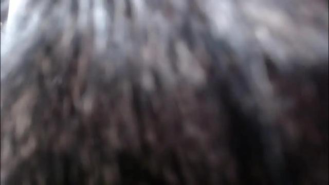 Image 10 of yemaya_28 Stream on Chaturbate on 3 months ago