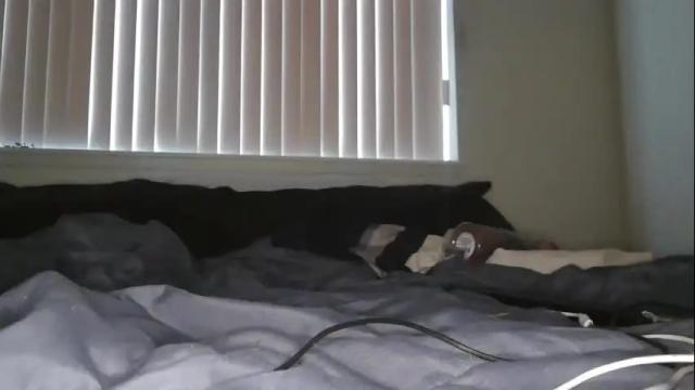 Image 10 of yessimua Stream on Chaturbate on 1 month ago