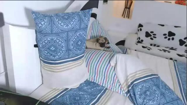 Image 6 of yinaross Stream on Chaturbate on 22 days ago